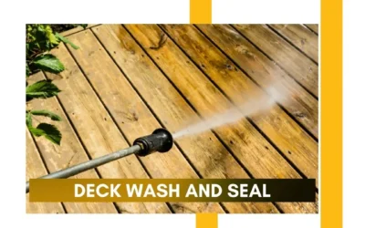 Deck Wash and Seal: Essential Tips for Long-Lasting Deck Care