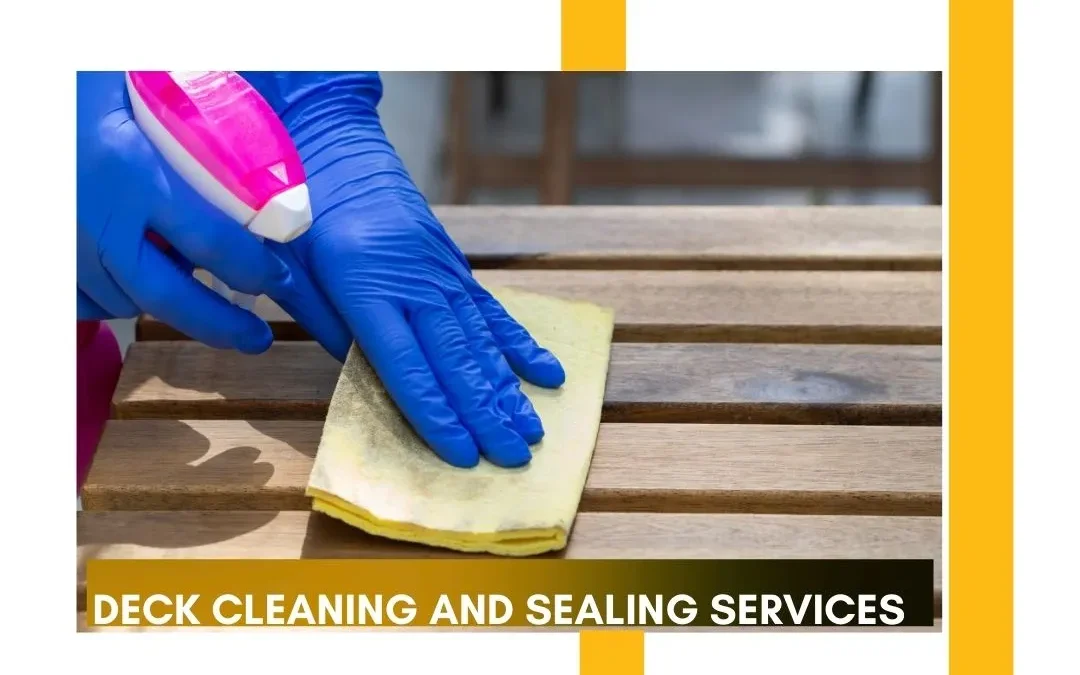 Deck Cleaning and Sealing Services: The Key to a Beautiful and Long-Lasting Deck